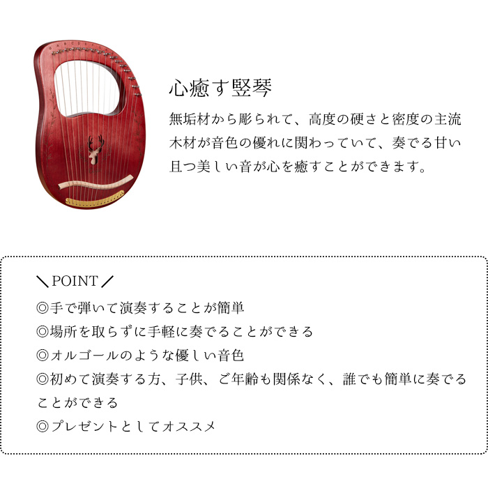 ライアー ハープ 16弦 19弦 木製竪琴 初心者 セット 入門楽器 指