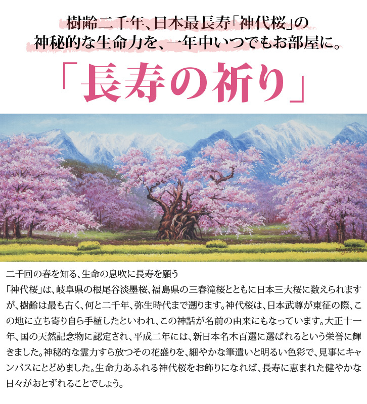 YO-1021 肉筆油彩画 神代桜 長寿の祈り - 絵画の説明 - 通販 - Yahoo