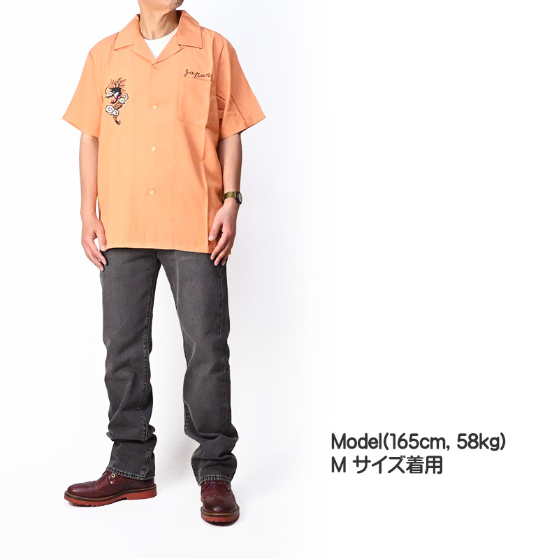 model