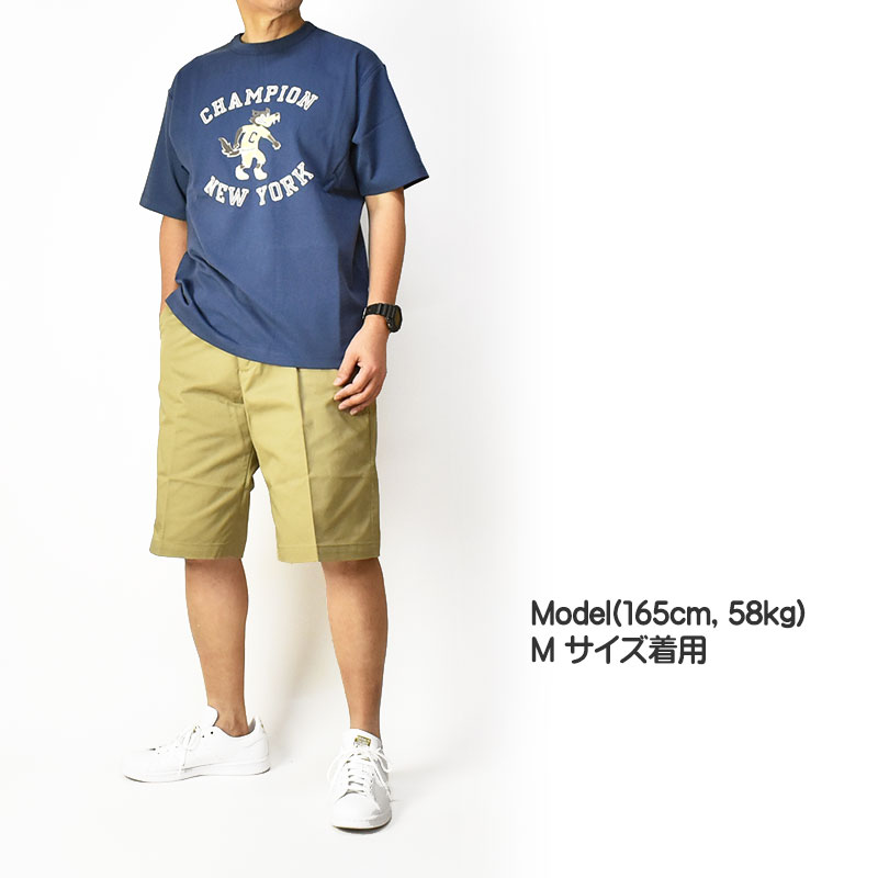 model
