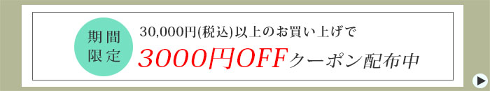 3,000円割引クーポンプレゼント