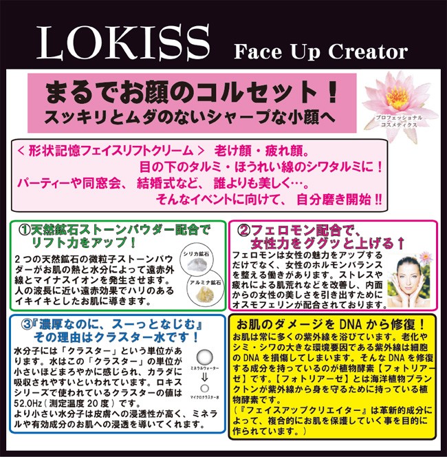 ロキス フェイスアップクリエイター 40gの説明 - 通販 - Yahoo
