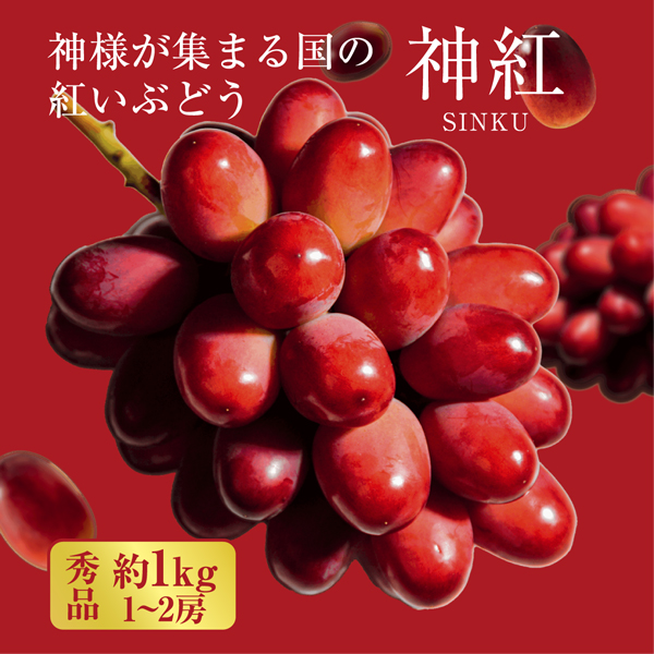 13 【島根県産】神紅(しんく)ぶどう 約2キロ 5〜3房 超希少品種『大房 神紅（しんく）』島根県産ぶどう 1房 600