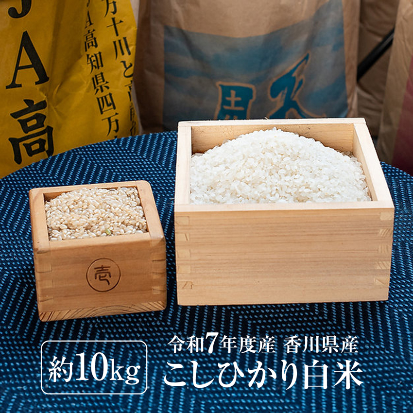 10kg (5kg×2袋)新米 香川県産 コシヒカリ 令和7年産 白米 お得 送料 10kg (5kg×2袋)新米 香川県産 コシヒカリ 令和7年産 白米 お得 送料