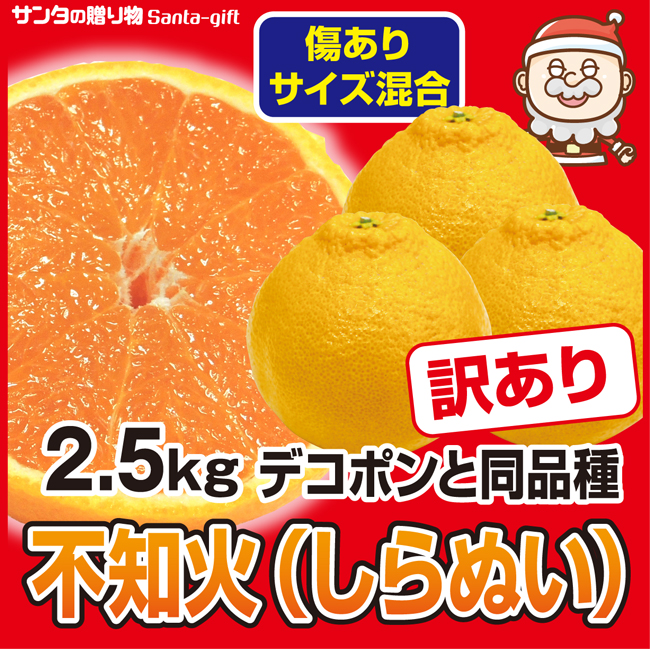 デコポン 訳あり みかん サイズ混合 シミあり お試し 2.5kg デコみかん