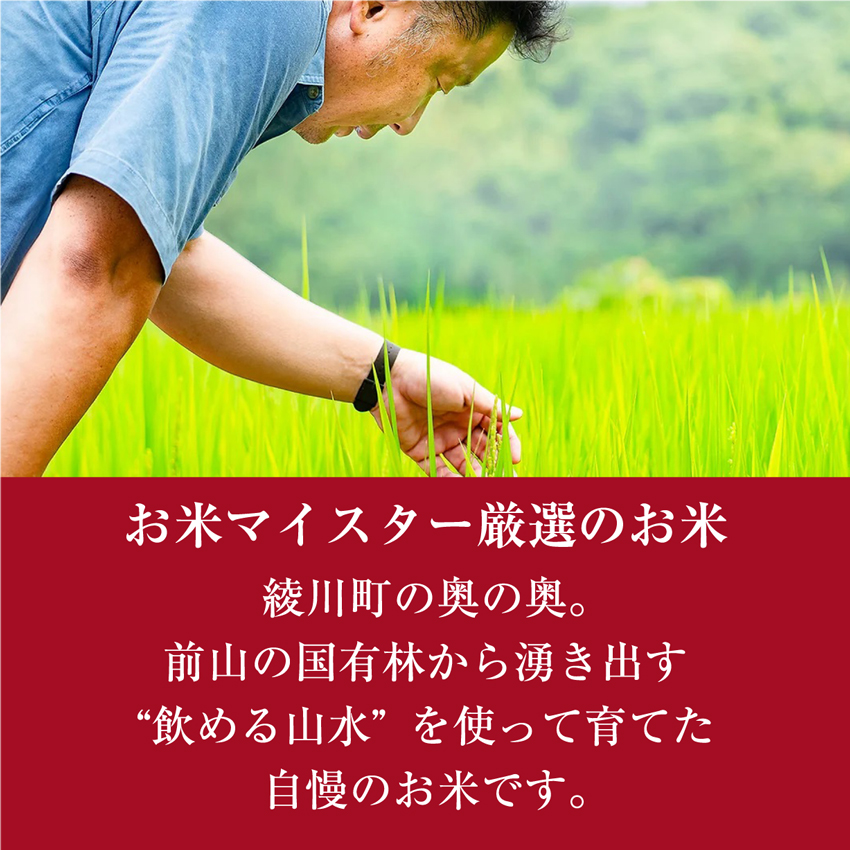10kg （5kg×2袋）生活応援米 新米 香川県産 コシヒカリ 令和7年産 白米