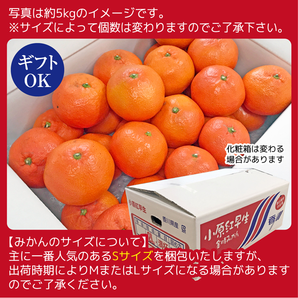 チョコ姫様専用 小原紅みかん缶詰 × 2箱 - その他 加工食品