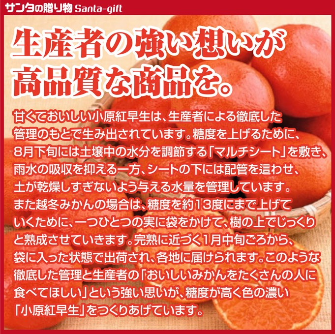 obarabeni-mikan03-5.jpg
