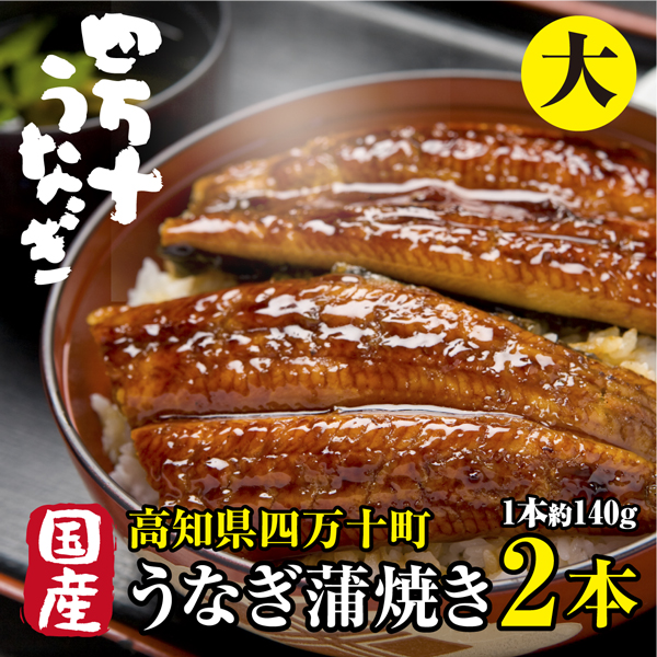 国産 高級うなぎ 蒲焼き 大 高知県産【鰻 約140g×3本】 鰻 割烹
