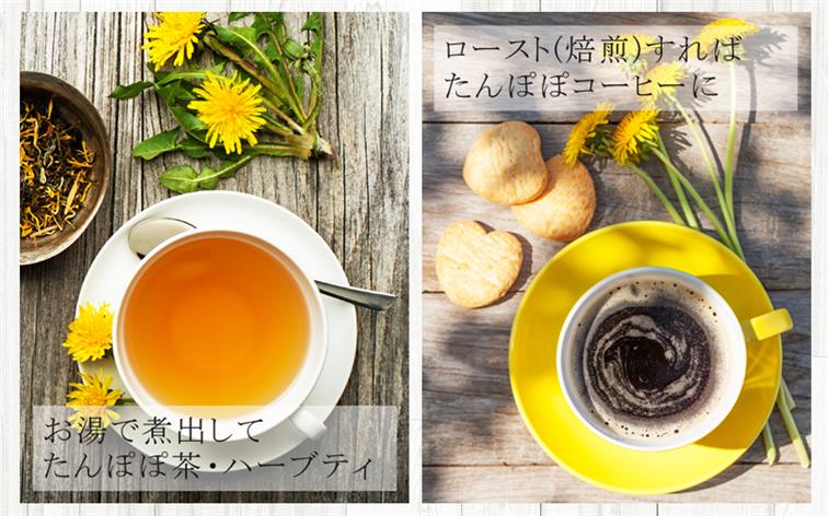 たんぽぽ茶 ダンディライオン ハーブティー 100g たんぽぽ
