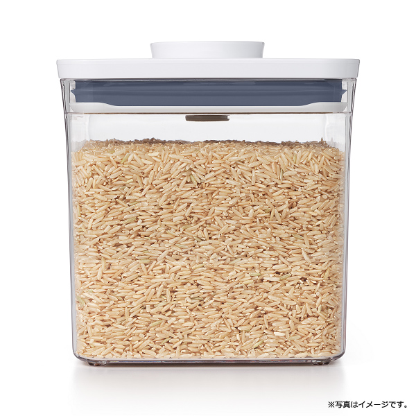 OXO オクソー ポップコンテナ ビッグスクエア ショート 2.6L 保存容器 キッチン 台所 密閉容器 調味料入れ 小物入れ キャニスター ストッカー  11233600 :11233600:雑貨・Outdoor サンテクダイレクト - 通販 - Yahoo!ショッピング