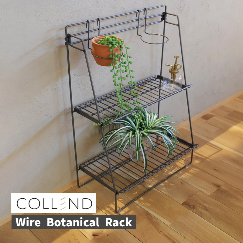 COLLEND(コレンド) ワイヤーボタニカルラック ラック 観葉植物 鉢置き台 花台 フラワースタンド シェルフ WW-WBR