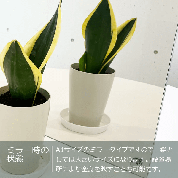 爆買 A2サイズ  アクリルフレームLEDライトパネル ミラータイプ(片面)LEDポスターパネル  光る看板 看板 メニュー 店舗展示会 インテリア【8】の画像