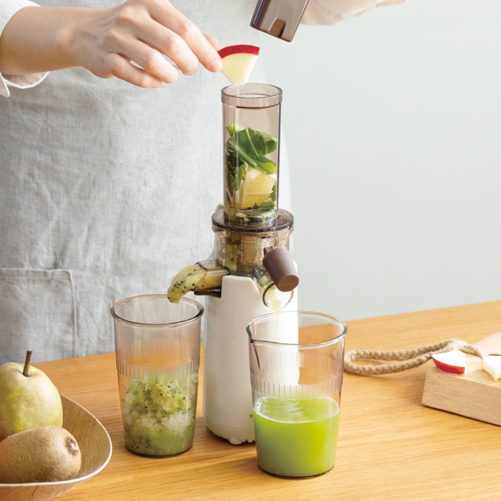 Recolte Cold Press Juicer Mini