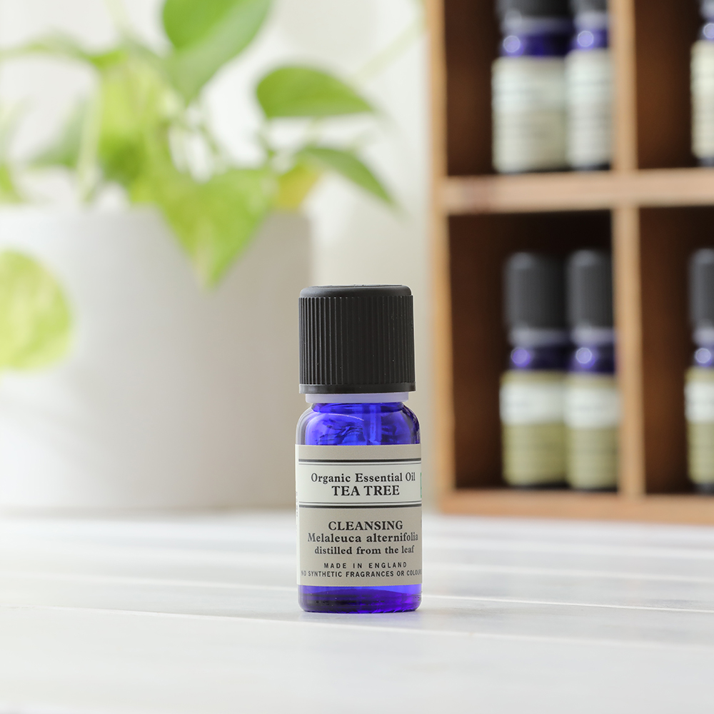 エッセンシャルオイル什器 (20本用) ニールズヤード NEAL'S YARD REMEDIES（ニールズヤードレメディーズ） 正規品