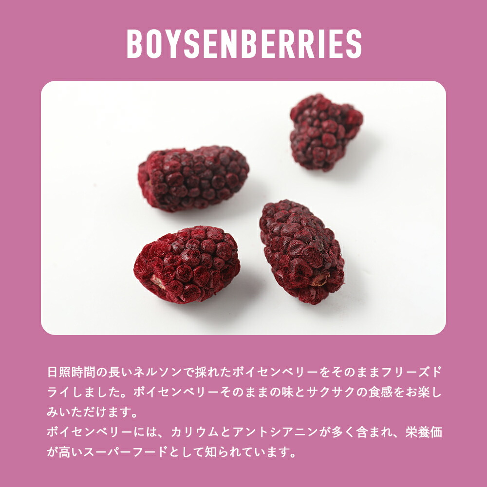 ドライフルーツ 20g フリーズ ブルーベリー ラズベリー ボイセンベリー