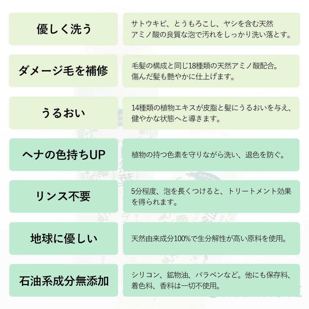 グリーンノート 自然葉 シャンプー 300ml ノンシリコン 無添加 2個セット | グリーンノート | 01