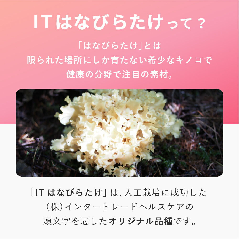 機能性表示食品 エストロリッチピュア 45粒 15日分 ITはなびらたけ ハナビラタケ 疲労感 疲れ 健康 維持 40代 50代 更年期 ゆらぎ 世代  女性