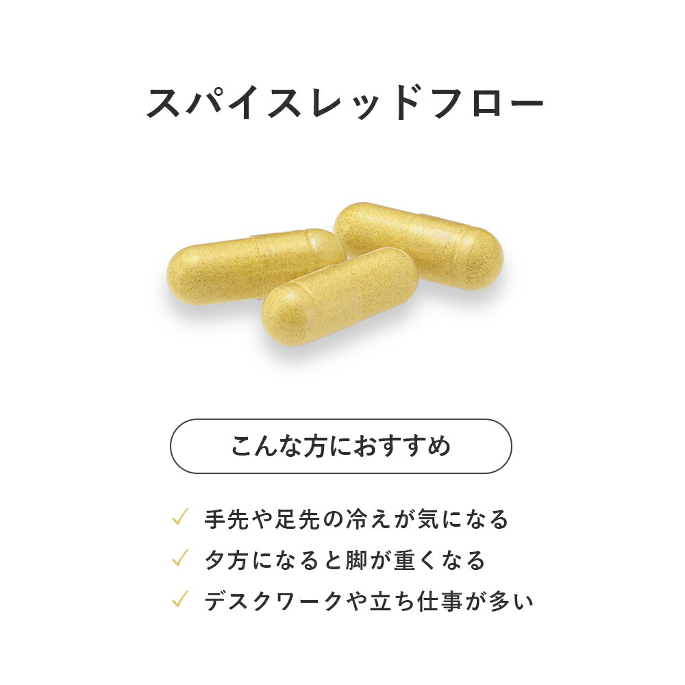 アムリターラ スパイスレッドフロー 60粒 サ...の詳細画像2