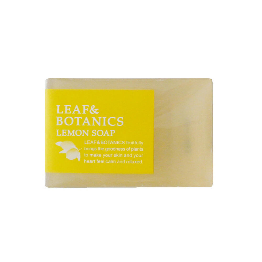 春夏限定 LEAF&BOTANICS リーフ&...の詳細画像3