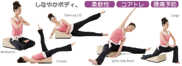 HOT人気 サンテプラス SANTEPLUS フレックスクッション Flexcushion