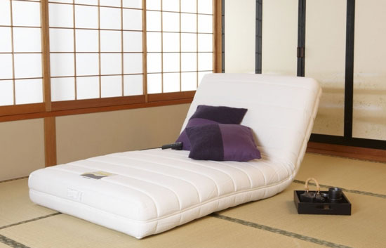 フランスベッド(FRANCEBED) 電動リクライニングマットレス フランスベッド(FRANCEBED) 電動リクライニングマットレス