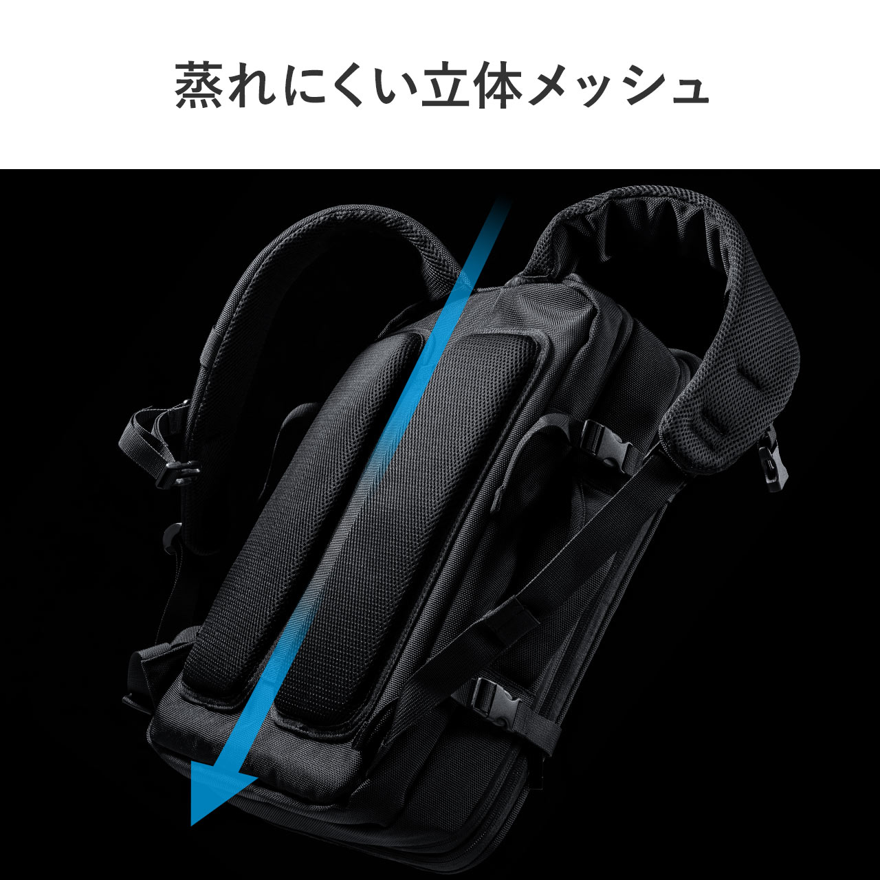 SANWA SUPPLY（サンワサプライ） ハードリュック リュック メンズ 大