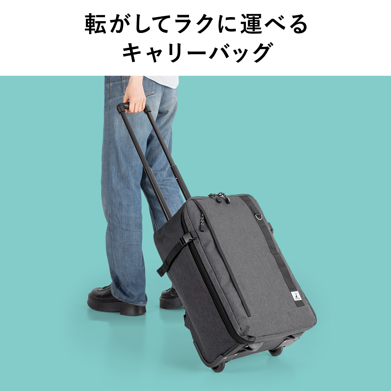 SANWA SUPPLY 旅行用品 スーツケース、キャリーバッグの商品一覧｜旅行