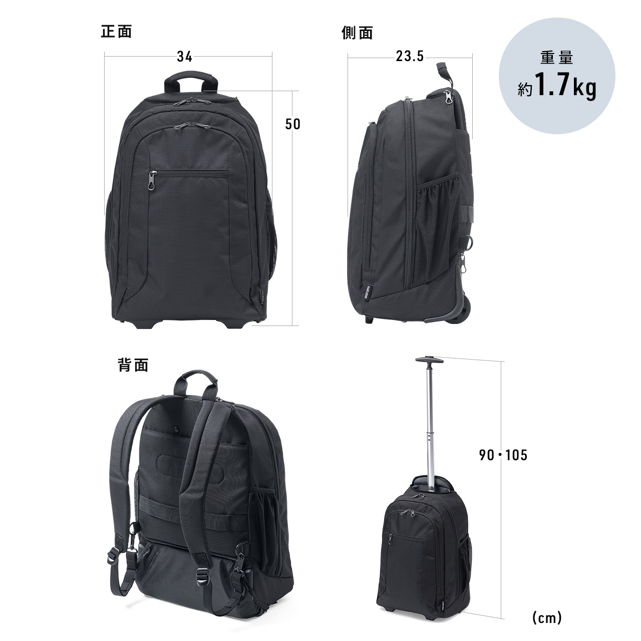 SANWA SUPPLY（サンワサプライ） リュック キャリーバッグ 2WAY 大容量