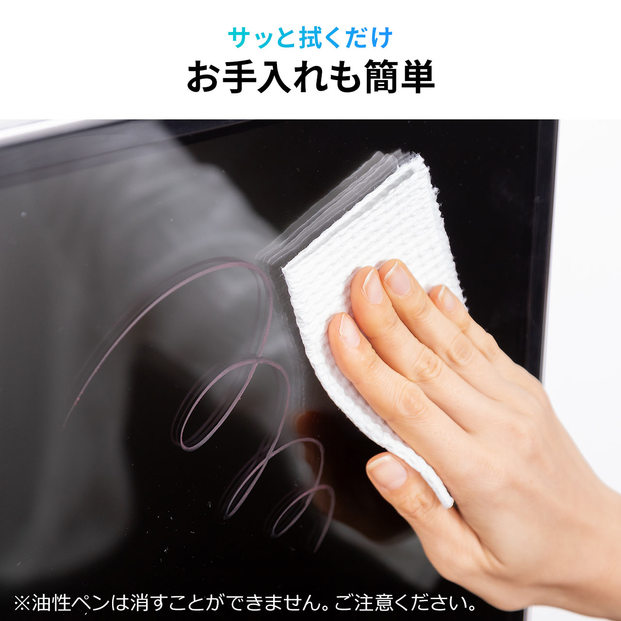 SANWA SUPPLY（サンワサプライ） テレビ 保護パネル 液晶テレビ TV