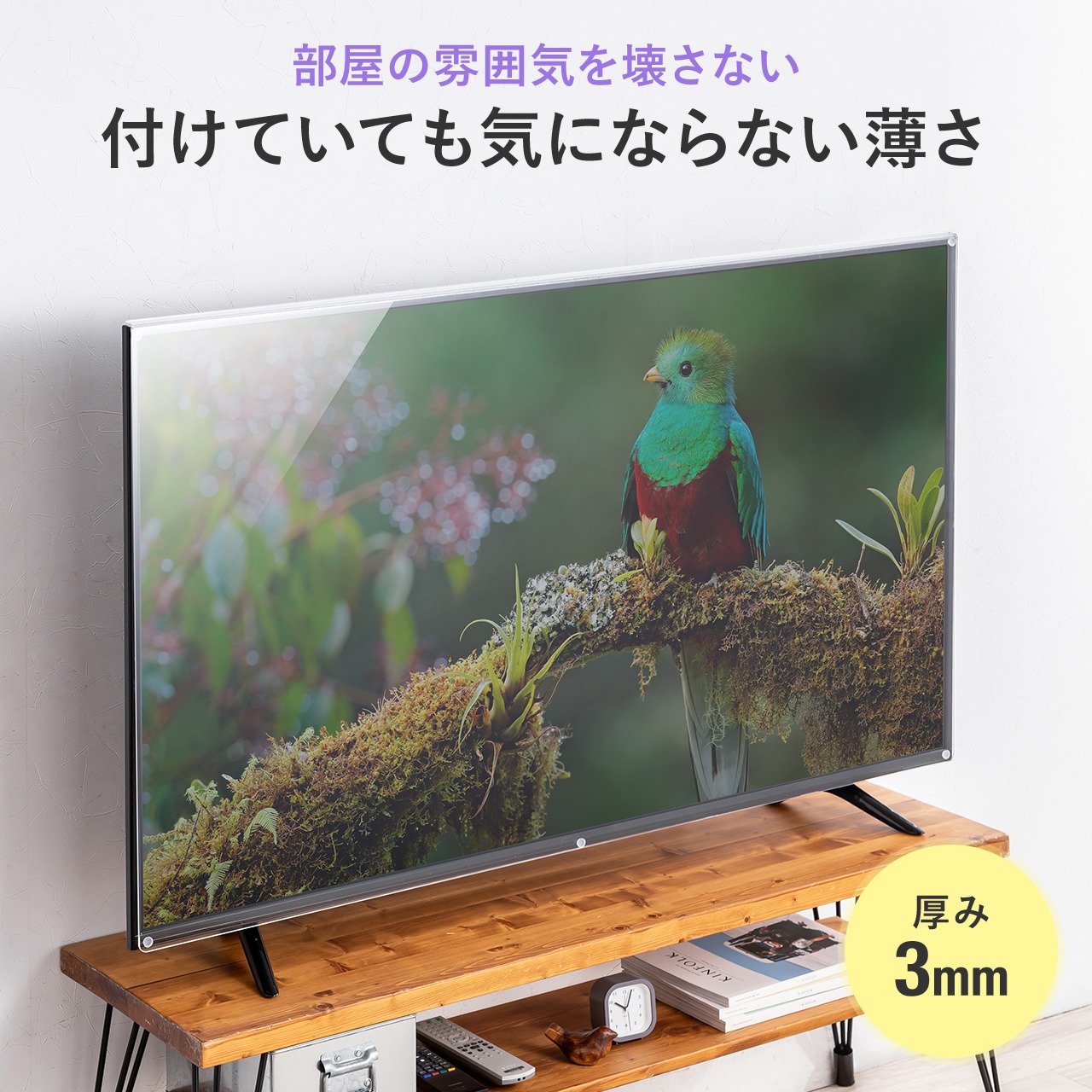 SANWA SUPPLY（サンワサプライ） テレビ保護パネル 55型 55インチ 対応