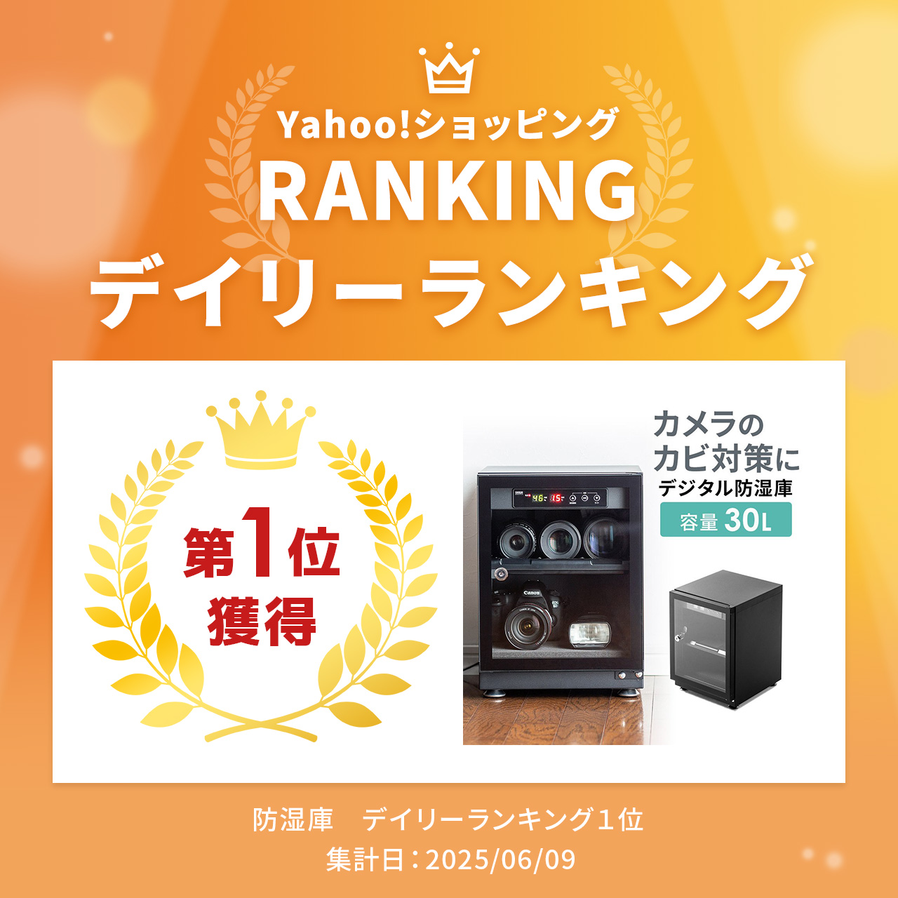 SANWA SUPPLY 防湿庫 カメラ レンズ 保管 ドライボックス 30L