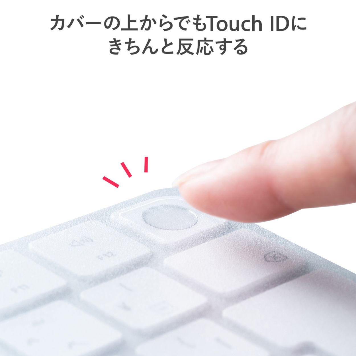 キーボードカバー Apple Magic Keyboard 専用 防塵カバー Touch ID対応 テンキーなし 2枚入り 200-FA009｜sanwadirect｜03