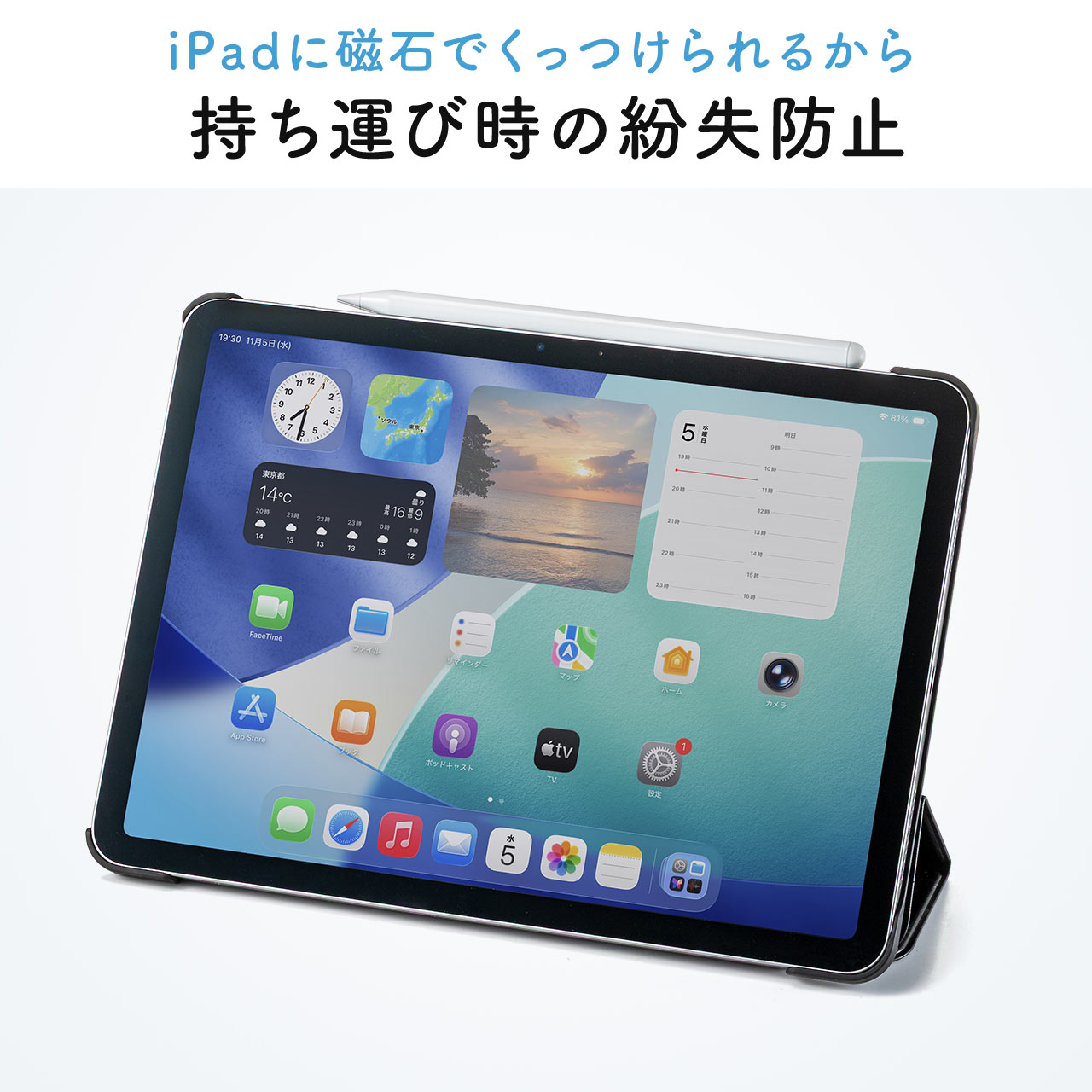 SANWA SUPPLY（サンワサプライ） タッチペン iPad専用 スタイラスペン