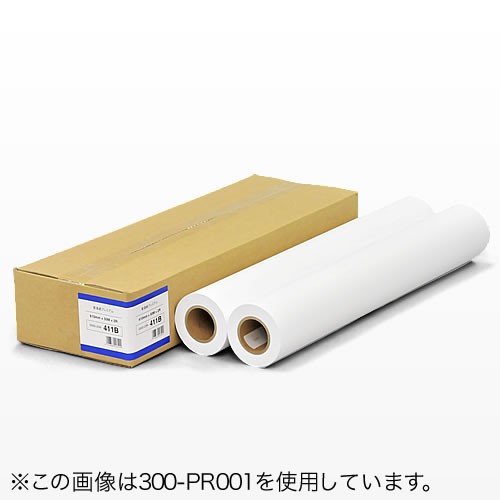 SANWA SUPPLY（サンワサプライ） プロッター用紙 ロール紙 普通紙 厚手
