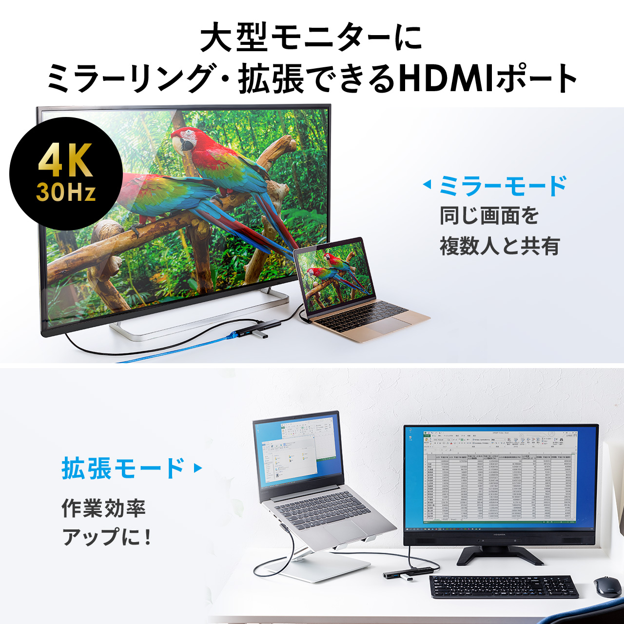 SANWA SUPPLY（サンワサプライ） ドッキングステーション USB Type-C