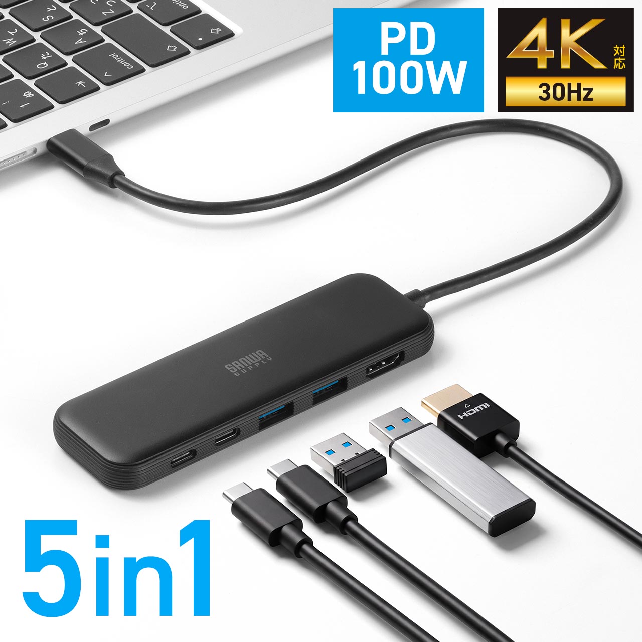 SANWA SUPPLY（サンワサプライ） USBハブ USB-C USB Type-C PD100W