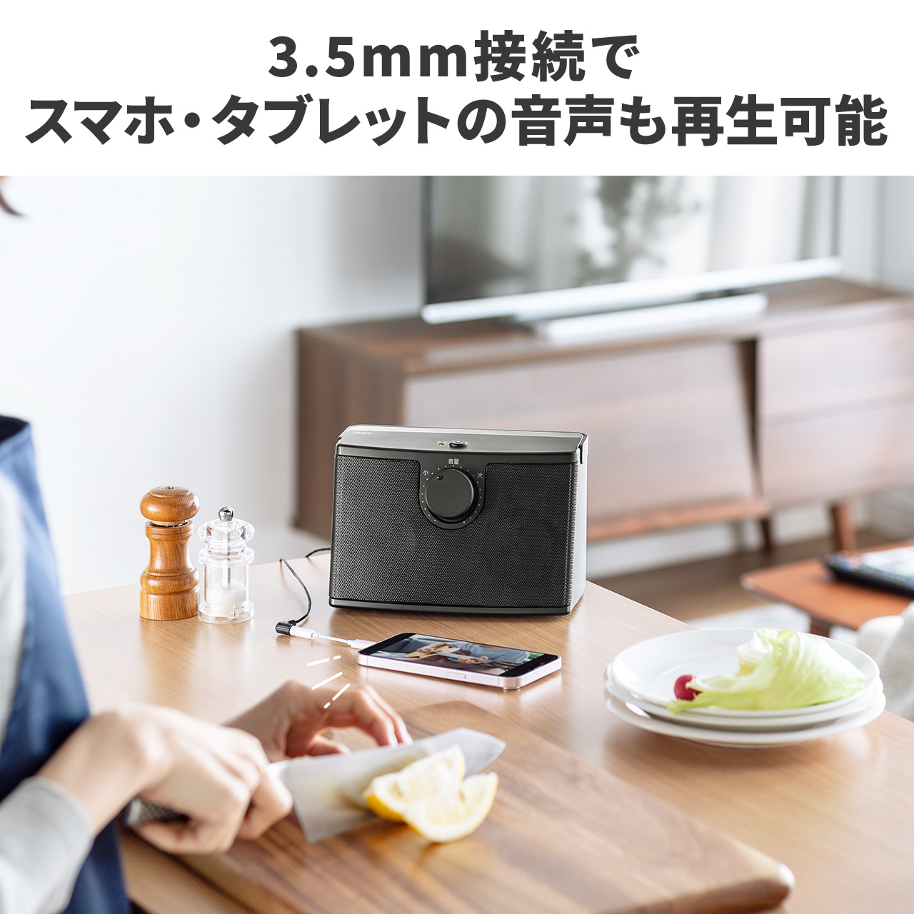 テレビスピーカー テレビ用スピーカー 手元スピーカー 耳元 有線 TV テレビ用 高齢者 補聴 難聴 USB給電 充電式 10W 高出力 大音量 簡単 5mケーブル 400-SP103｜sanwadirect｜15