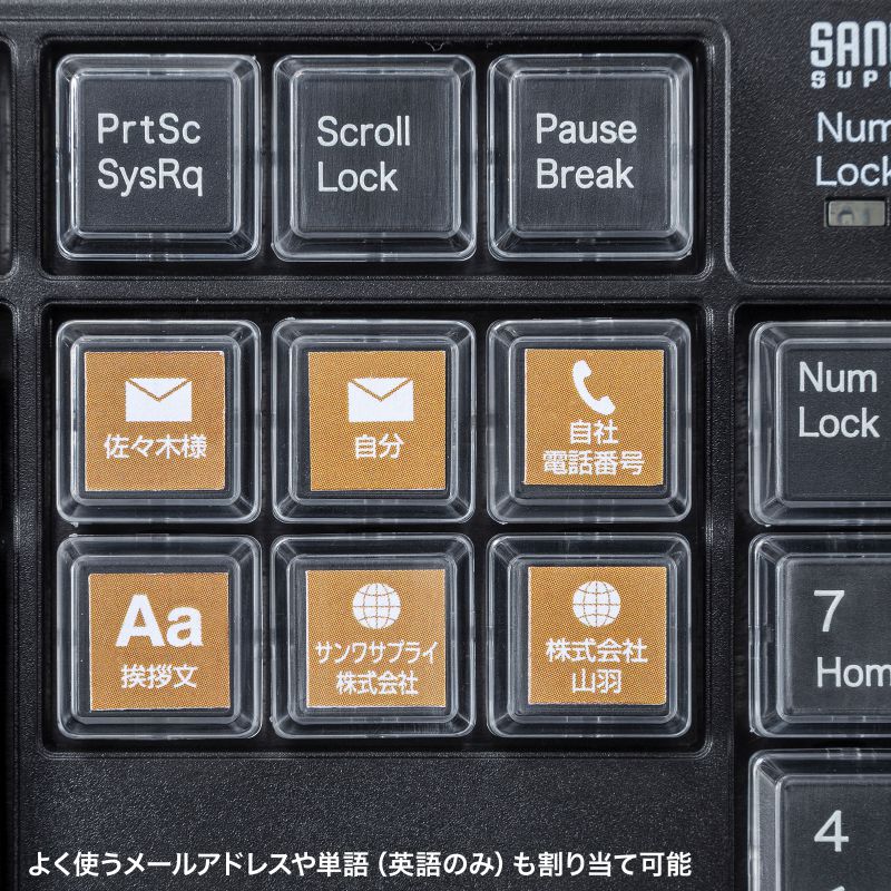 WK INTERACT SUPERSAMPLER 限定版 401/1000 ウィメンズ ウォーキングシューズ Ι ダブルケーフォーハンドレッド
