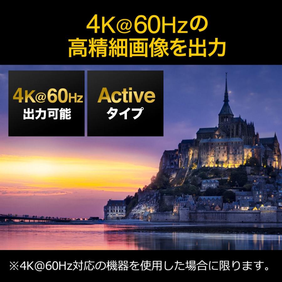HDMI 変換 ケーブル DisplayPort HDMI 変換ケーブル ディスプレイポート 5m 500-KC021-5｜sanwadirect｜05