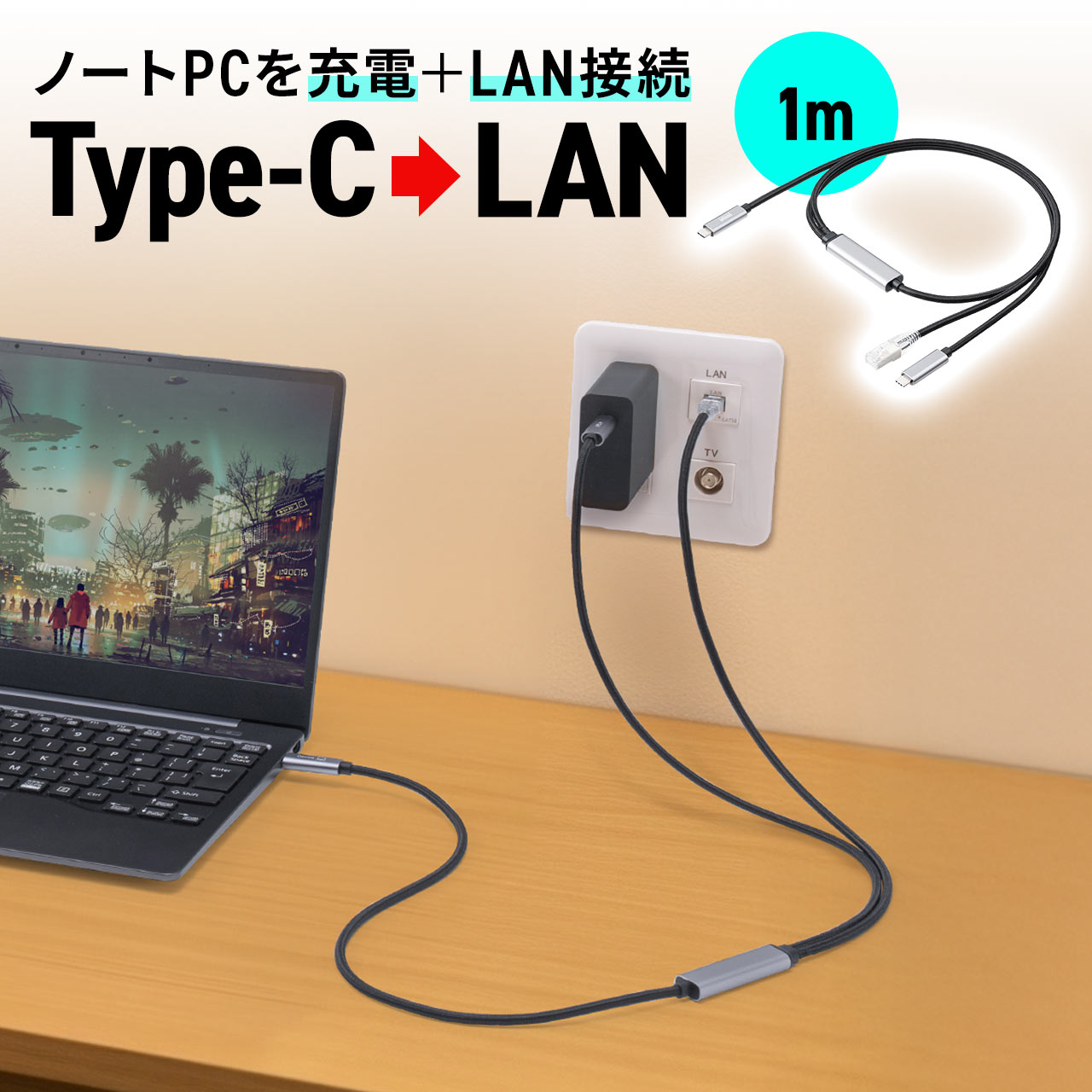 USB Type-C USB-C LAN �ϊ��P�[�u�� 1m �J�e�S��6 RJ45 PD100W C to LAN MAC�A�h���X �p�X�X���[�Ή� �ւ̎����b�` ���b�V���P�[�u�� 500-LAN6KCPD01