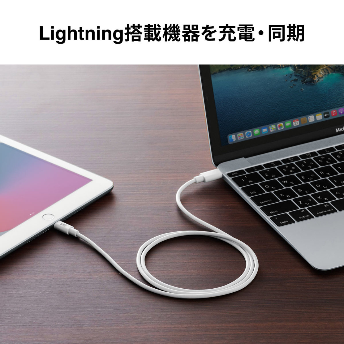 Lightningケーブル USB Type-C ライトニングケーブル iPhone iPad 充電ケーブル Apple MFi認証品 USB PD 充電 同期 1m 501-IPLM024W｜sanwadirect｜03