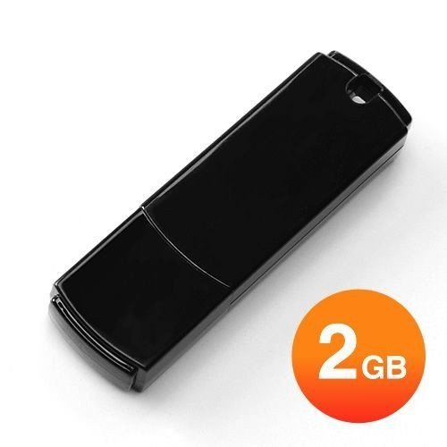 USBメモリ 2GB シンプルタイプ 600-UF2G｜sanwadirect
