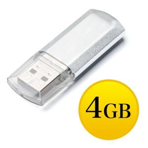 USBメモリ 4GB USBメモリー 600-UFD4GN2