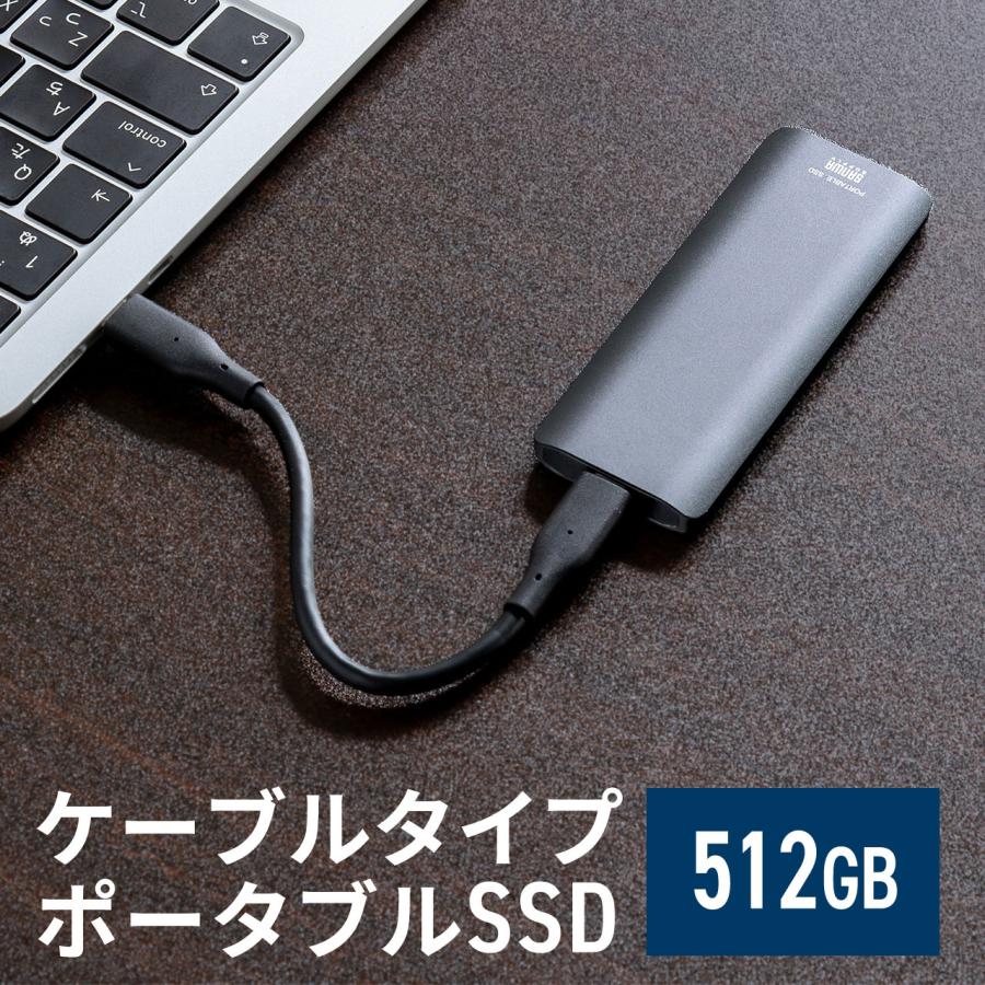 SSD 外付け 512GB ポータブルSSD USB3.2 Gen2 最大読込速度約1000MB/s 小型 テレビ録画 PS5/PS4/Xbox Series X Type-A/Type-C 600-USSDL512GB｜sanwadirect