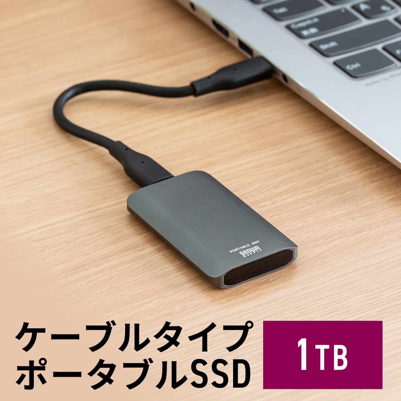 SSD 外付け 1TB ポータブルSSD USB3.2 Gen2 最大読込速度約540MB/s 小型 テレビ録画 PS5/PS4/Xbox Series X Type-A/Type-C 600-USSDS1TB｜sanwadirect