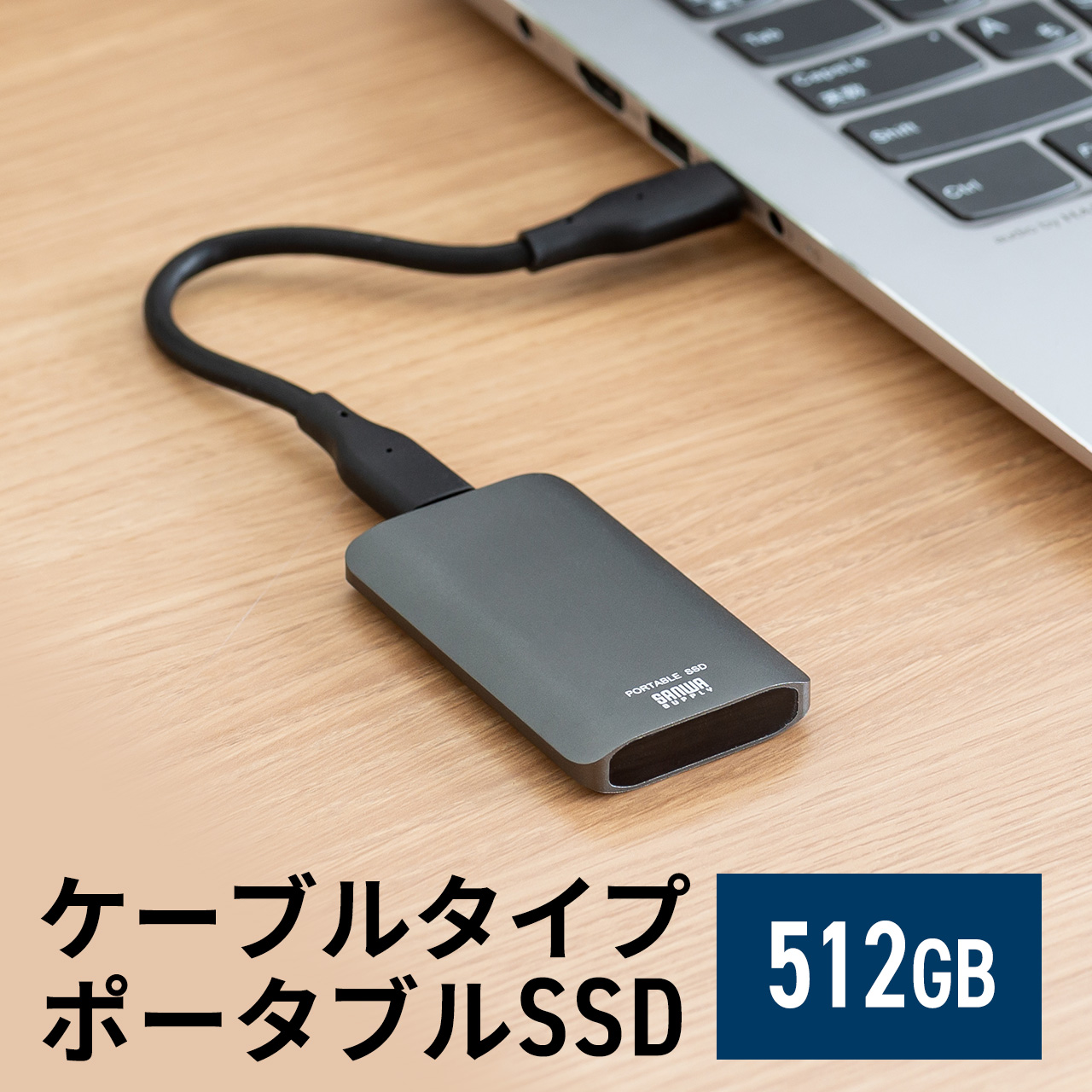SSD 外付け 512GB USB3.2 Gen2 最大書込速度約540MB/s  小型 テレビ録画 PS5/PS4/Xbox Series X Type-A/Type-C 600-USSDS512GB｜sanwadirect