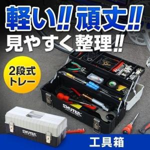 工具箱 ツールボックス 整理 持ち運び 2段トレー付き プラスチック 800-BYBOX2BK