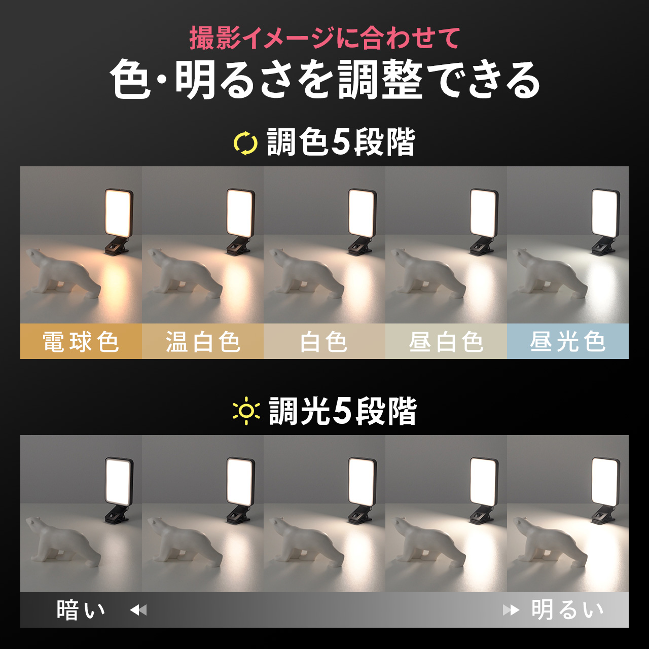 SANWA SUPPLY（サンワサプライ） LEDライト 撮影用 作業灯 ライト 小型