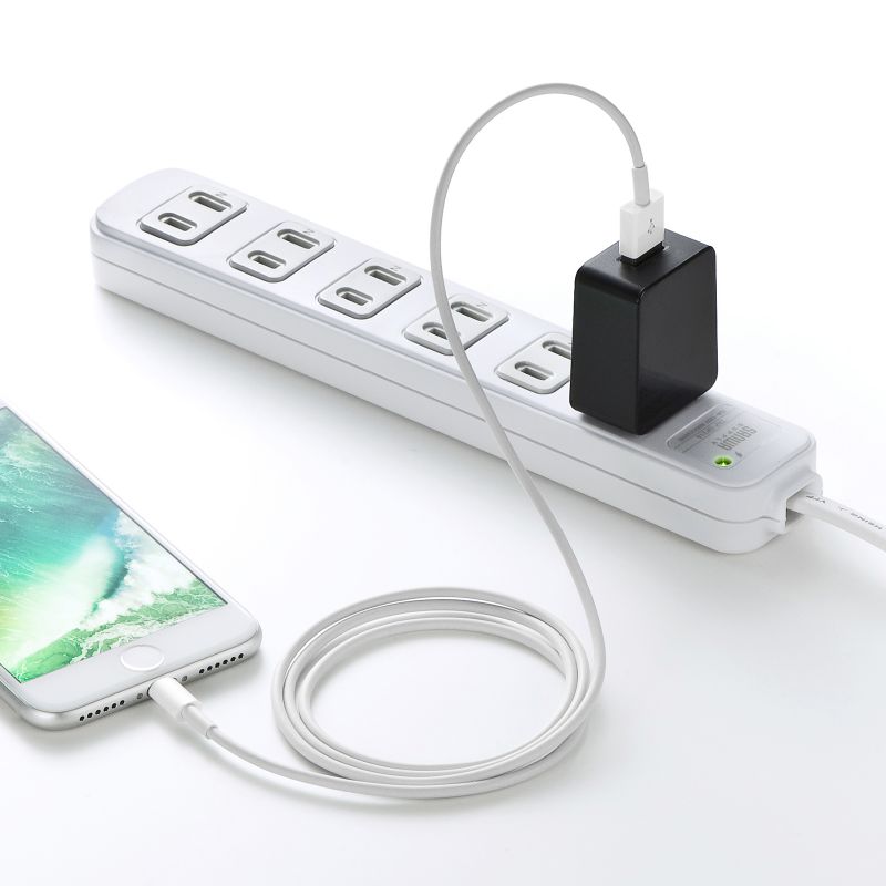 SANWA SUPPLY（サンワサプライ） USB充電器 1A出力 ACアダプター USB